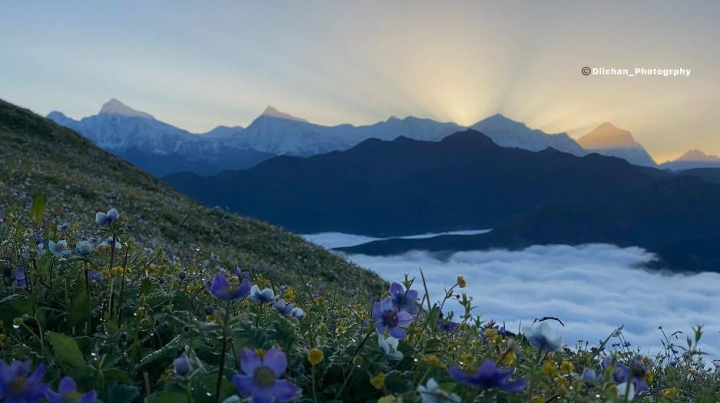 संगठनभित्र मौलाउँदै गएका प्रतिगामी प्रवृत्तिलाई परास्त पार्न जरुरी छ: उपाध्यक्ष पुन